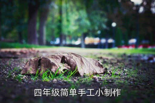 四年級簡單手工小制作