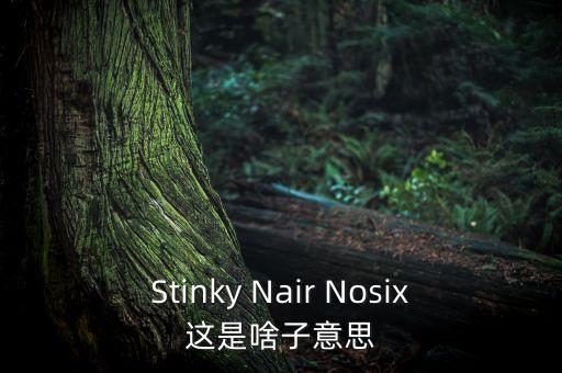 Stinky Nair Nosix這是啥子意思