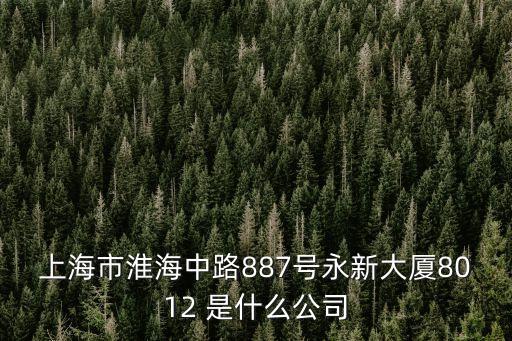 上海市淮海中路887號(hào)永新大廈8012 是什么公司