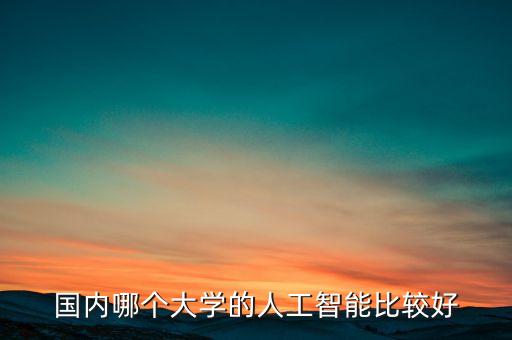 國內哪個大學的人工智能比較好