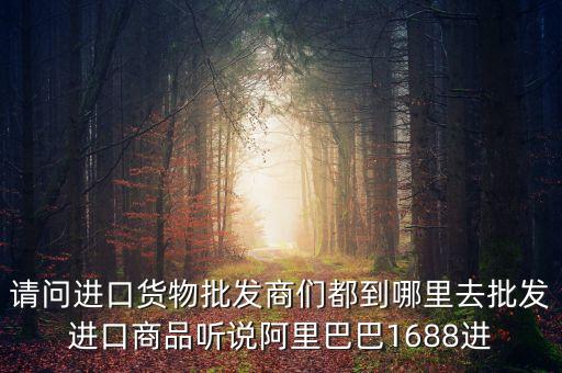 請(qǐng)問(wèn)進(jìn)口貨物批發(fā)商們都到哪里去批發(fā)進(jìn)口商品聽(tīng)說(shuō)阿里巴巴1688進(jìn)
