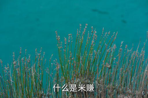 什么是米賺