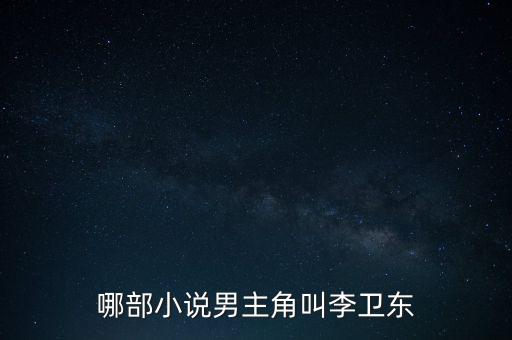 重生之實業(yè)大亨 李衛(wèi)東，哪部小說男主角叫李衛(wèi)東