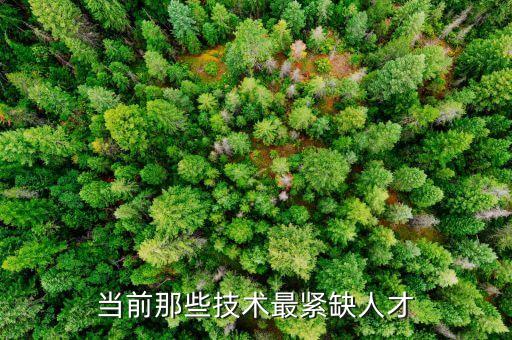 當(dāng)前那些技術(shù)最緊缺人才