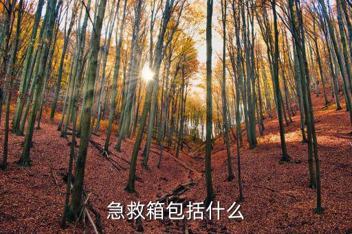 急救箱包括什么