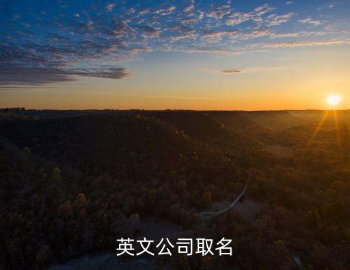 自動駕駛科技公司英文名字，求一個科技公司英文名一定要與中文名字相符合中文名字在附件
