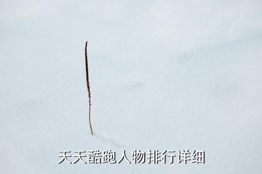 天天酷跑人物排行詳細(xì)