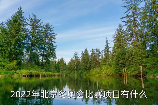 2022有什么好項目可以做，2022年北京冬奧會比賽項目有什么