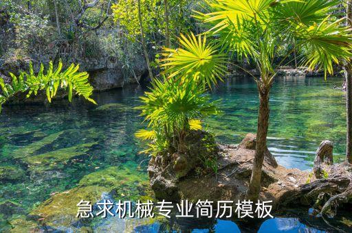 機(jī)械簡(jiǎn)歷模板范文，急求機(jī)械專(zhuān)業(yè)簡(jiǎn)歷模板