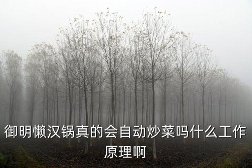 御明懶漢鍋真的會(huì)自動(dòng)炒菜嗎什么工作原理啊