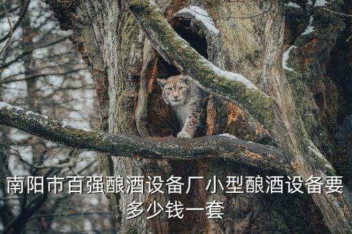 南陽(yáng)市百?gòu)?qiáng)釀酒設(shè)備廠小型釀酒設(shè)備要多少錢一套