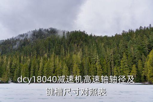 dcy18040減速機(jī)高速軸軸徑及鍵槽尺寸對(duì)照表