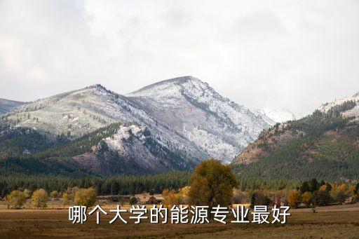 哪個大學(xué)的能源專業(yè)最好