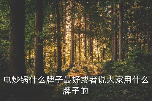 電炒菜鍋哪個(gè)牌子質(zhì)量最好，什么牌子的炒鍋好