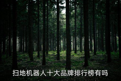 掃地機器人十大品牌排行榜有嗎