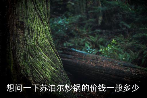 想問一下蘇泊爾炒鍋的價錢一般多少