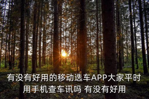 有沒有好用的移動(dòng)選車APP大家平時(shí)用手機(jī)查車訊嗎 有沒有好用