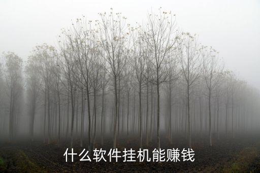 什么軟件掛機(jī)能賺錢