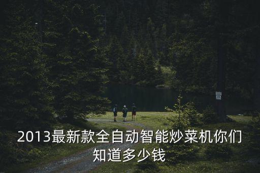 2013最新款全自動智能炒菜機你們知道多少錢