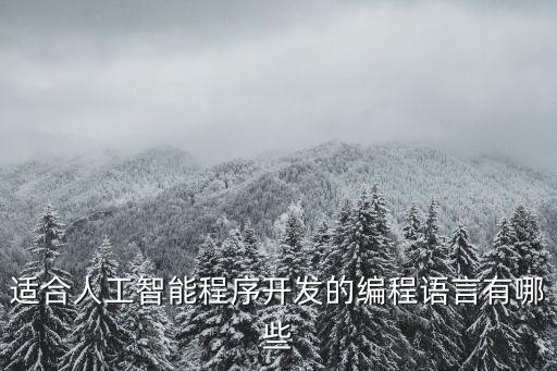 編寫人工智能模型最常用的語言，最適合開發(fā)人工智能的編程語言有哪些