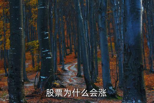 股票為什么會(huì)漲，為什么股票會(huì)漲