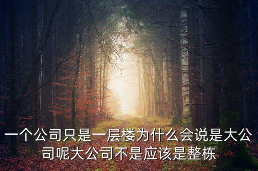 一個(gè)公司只是一層樓為什么會(huì)說是大公司呢大公司不是應(yīng)該是整棟