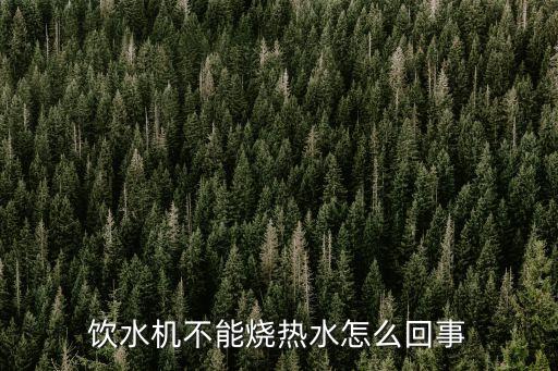 飲水機(jī)不能燒熱水怎么回事