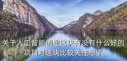 關(guān)于人工智能創(chuàng)業(yè)這塊有沒有什么好的項目對這塊比較關(guān)注想了