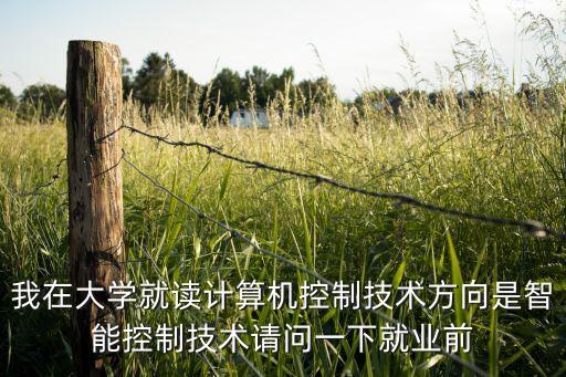 我在大學(xué)就讀計算機控制技術(shù)方向是智能控制技術(shù)請問一下就業(yè)前