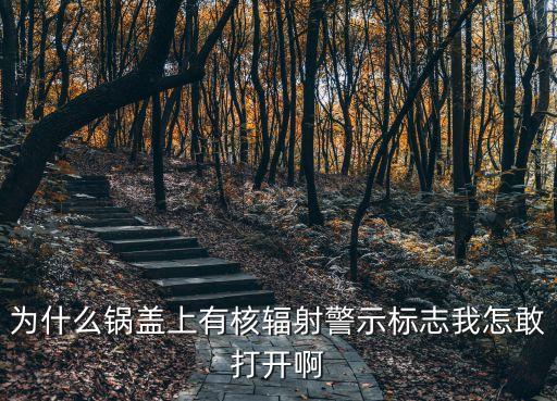為什么鍋蓋上有核輻射警示標(biāo)志我怎敢打開啊