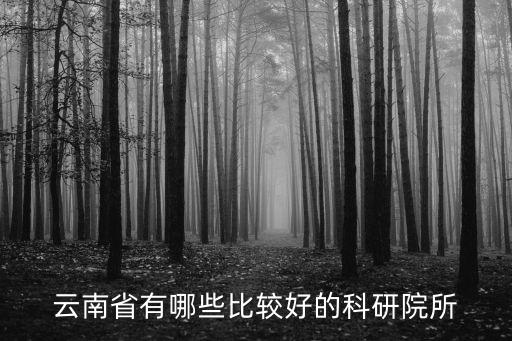 云南省人工智能重點實驗室有哪些，云南省有哪些比較好的科研院所