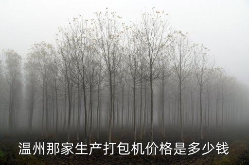 溫州那家生產(chǎn)打包機價格是多少錢