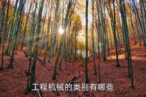 工程機(jī)械的類別有哪些