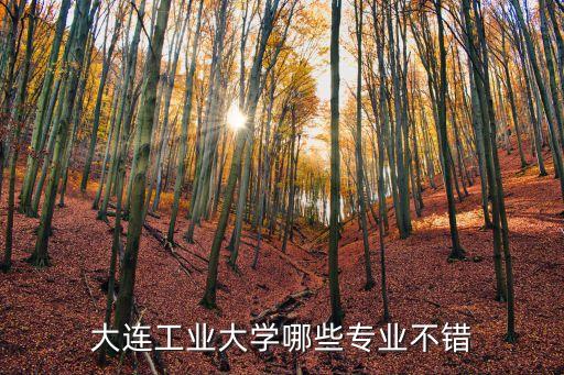 大連工業(yè)大學(xué)哪些專業(yè)不錯(cuò)