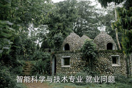 智能科學(xué)與技術(shù)專業(yè) 就業(yè)問題