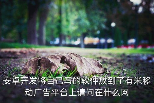 安卓開發(fā)將自己寫的軟件放到了有米移動廣告平臺上請問在什么網