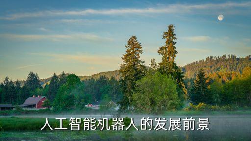 人工智能機器人的發(fā)展前景