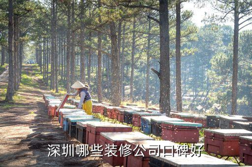 深圳哪些裝修公司口碑好