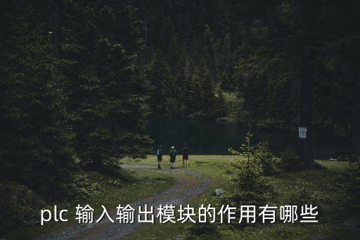 plc 輸入輸出模塊的作用有哪些