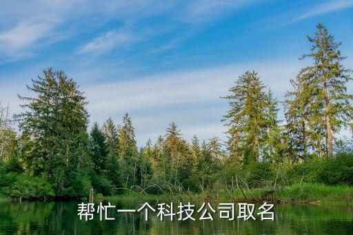 幫忙一個科技公司取名
