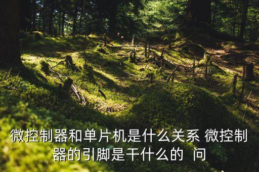 微控制器，微控制器和單片機(jī)是什么關(guān)系 微控制器的引腳是干什么的  問