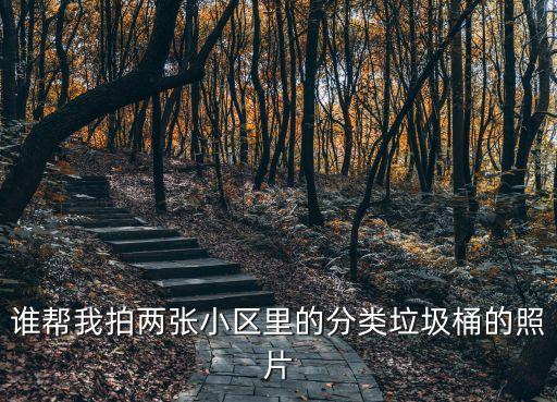 誰幫我拍兩張小區(qū)里的分類垃圾桶的照片