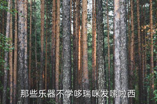 廣州市哆瑞咪文化藝術(shù)，央視少兒主持人哆瑞咪的真名叫什么