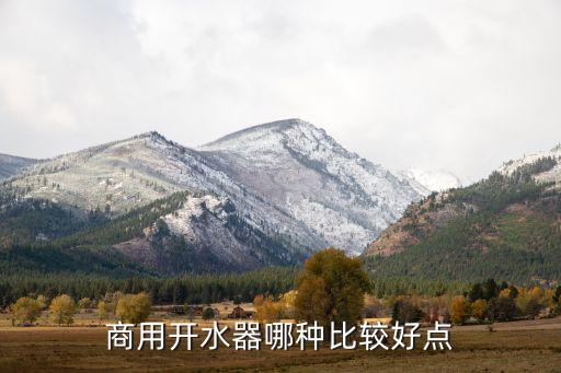 商用開水器哪種比較好點