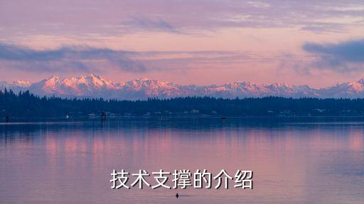 對項(xiàng)目提供的技術(shù)支撐，技術(shù)支撐的介紹
