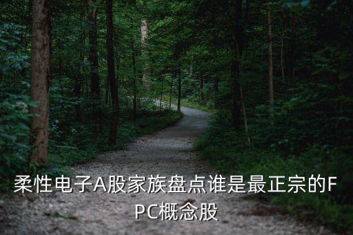 柔性電子A股家族盤點誰是最正宗的FPC概念股
