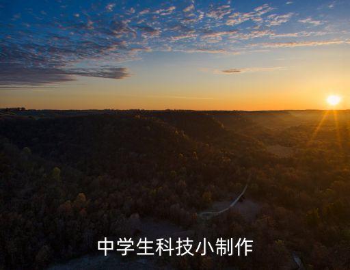科技創(chuàng)意作品設(shè)計(jì)方案中學(xué)生，中學(xué)生可以做哪些科技小制作