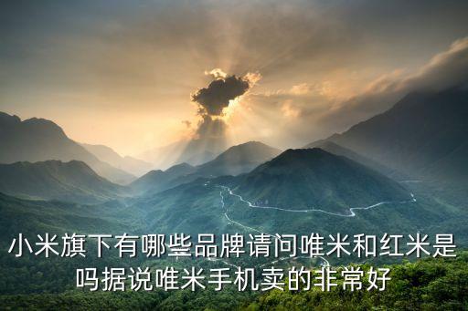 小米旗下有哪些品牌請(qǐng)問(wèn)唯米和紅米是嗎據(jù)說(shuō)唯米手機(jī)賣的非常好