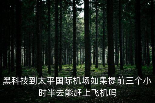 黑科技飛機(jī)，黑科技到太平國際機(jī)場如果提前三個(gè)小時(shí)半去能趕上飛機(jī)嗎
