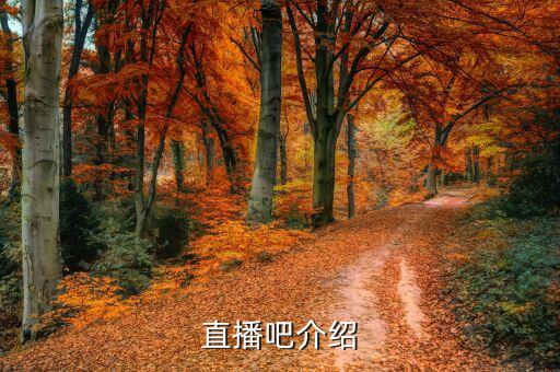 直播吧介紹